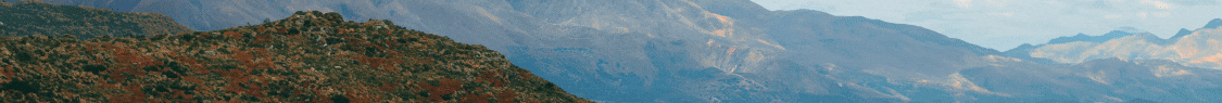 Banner publicitario
